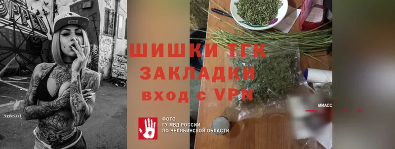 Бошки Шишки SATIVA & INDICA  купить наркотики сайты  ОМГ ОМГ ссылки  Александровск 